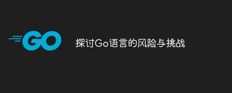 探讨Go语言的风险与挑战