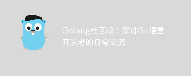 Go语言开发者社区：探索开发者之间的日常交流