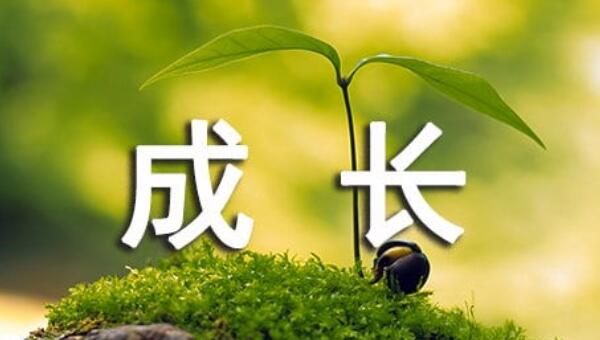 QQ截图20241227153515.jpg